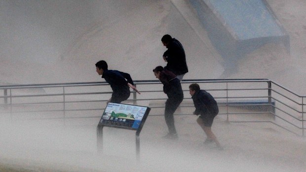 More damaging winds are expected to batter NSW today. (AAP)