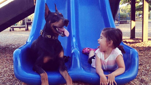 Four-year-old Siena and her two-year-old Doberman Buddah are best friends, and completely inseparable. (Facebook)