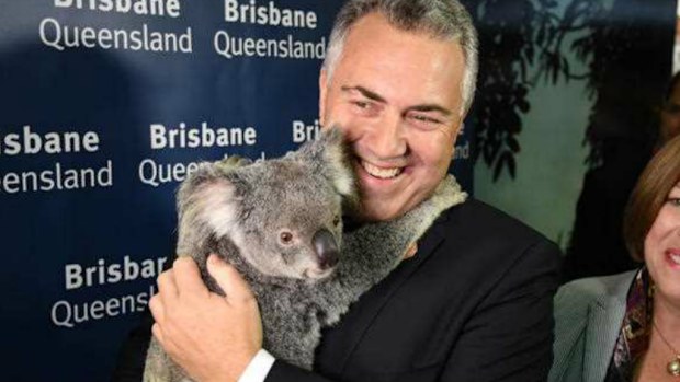 Treasurer Joe Hockey poses with a koala during a walk-through of the Brisbane Convention and Exhibitions Centre. (AAP)