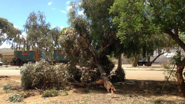 The scene at Bruce Rock following a triple fatal overnight. (9NEWS)