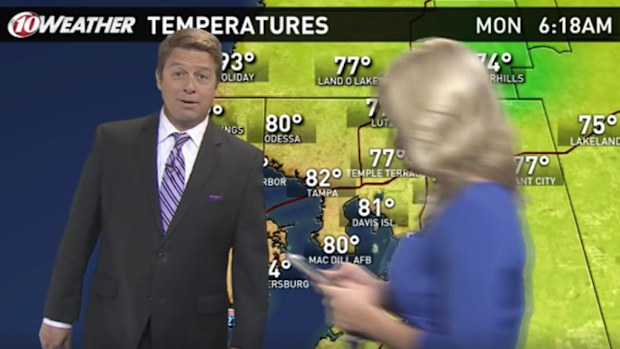 10News WTSP journalist Allison Kropff crosses through the middle of her colleagues' weather forecast while apparently playing Pokémon Go. (Twitter/AllisonKropff)