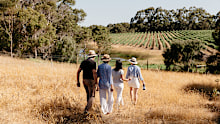 Take a walk through the winery grounds before sitting down for a tasting.