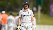 Will Pucovski is unlikely to replace David Warner. 