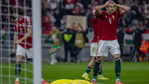 Macaristan, İrlanda'ya karşı kaybederek şok yaşadı.