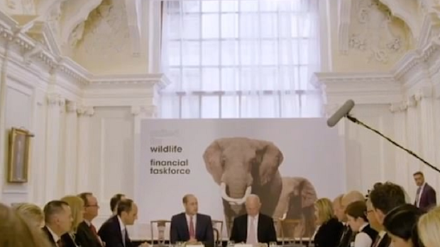 He spoke of the impact the pandemic is having on conservation efforts.