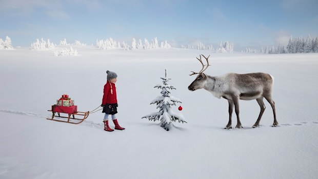 Child with reindeer