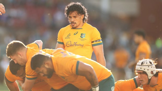 Pete Samu of the Wallabies watches on as the scrum packs.