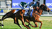Jamie Melham riding Half Yours defeats Beau Mertens riding River of Stars in Race 9, the Sportsbet Caulfield Cup.