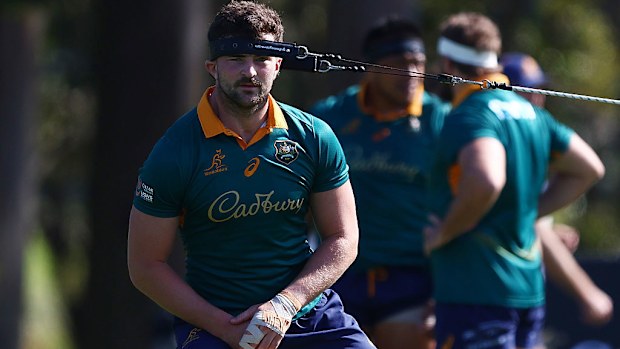 Wallabies vs British Irish Lions 2025: Crowd noise, AC/DC, Jeremy ...