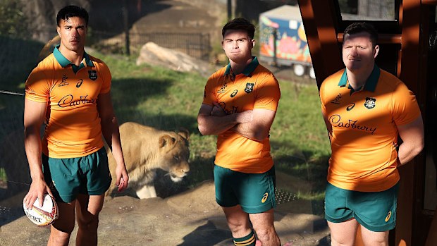 Joseph-Aukuso Suaalii, Andrew Kellaway and Angus Bell pose next to a lion.
