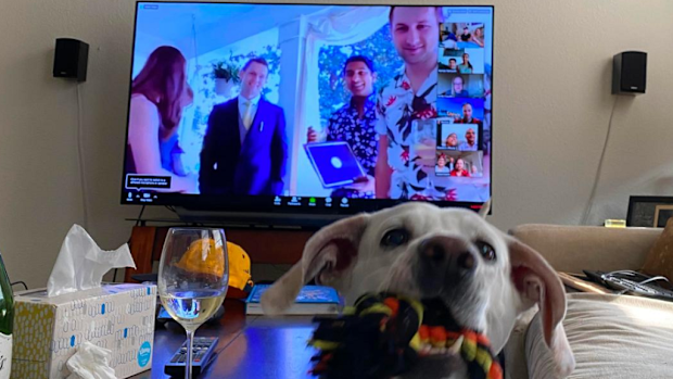 The grooms' friend Yara Klimchak and her dog Ember participate from Kansas City, Missouri.