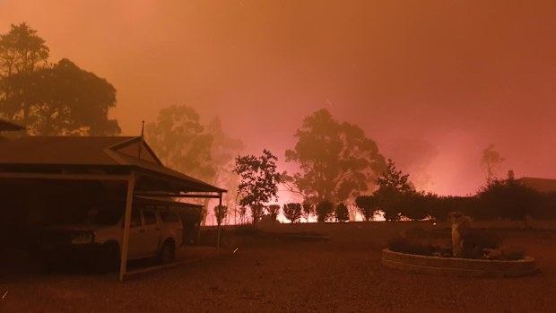 NSW 2019-20 Bushfire Inquiry Images