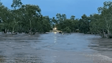 Emergency services have rescued multiple people in the Northern Territory after heavy rain caused river levels to rise overnight. Dangerous thunderstorms in Alice Springs last night ﻿cut off several roads and low-level causeways this morning.
