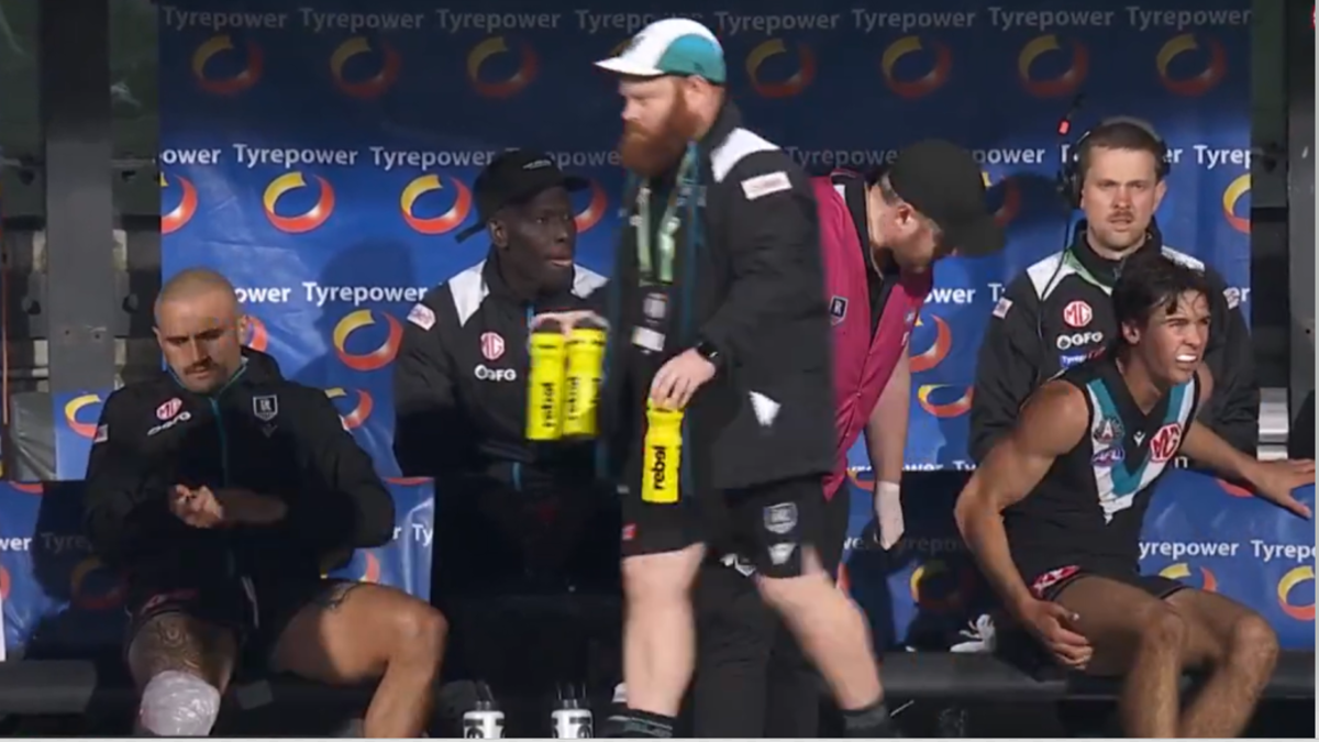 AFL News 2024: Port Adelaide vs St Kilda, Aliir Aliir concussion ...