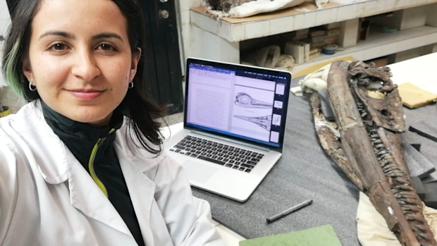 Researcher Dirley Cortés works with the skull of Kyhytysuka.