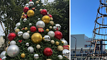 Kempsey’s Christmas tree was burnt down last year.