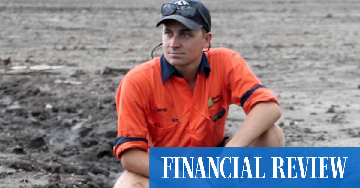 Shoppers avoid flood price spikes, but growers count the costs - Vimarsana News