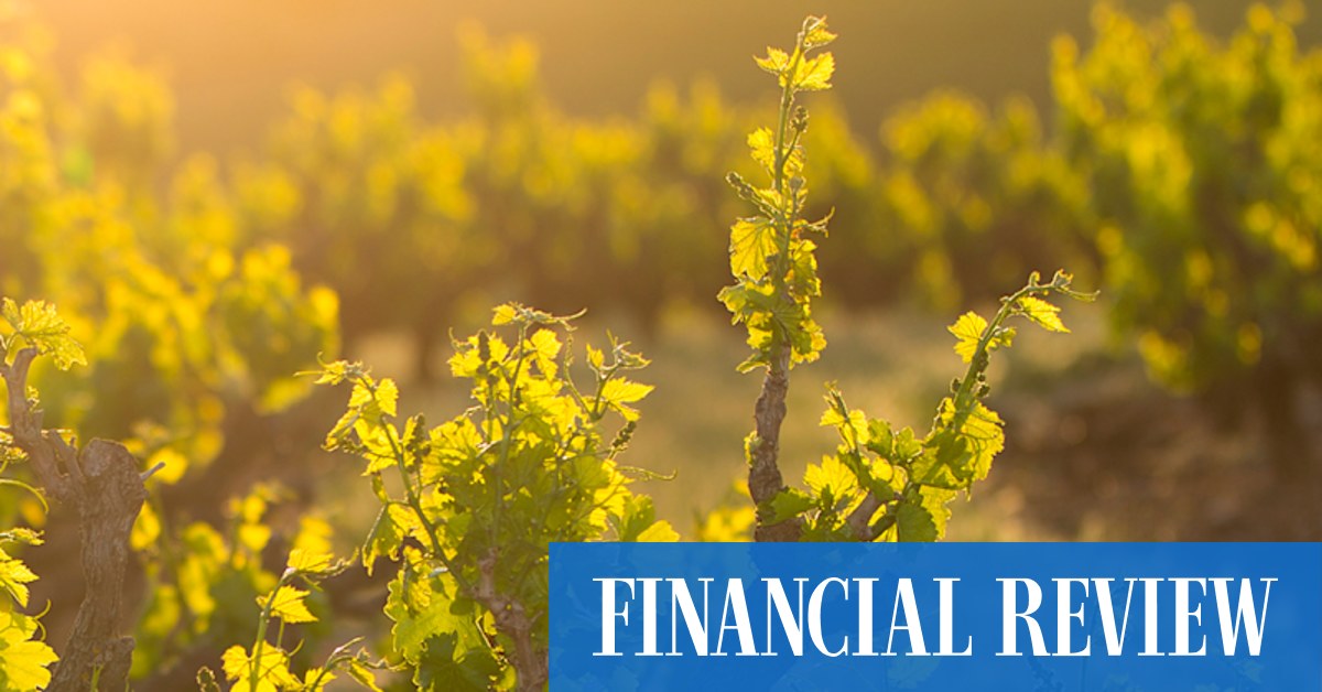 Petaluma Winery goes for $5m as boutique vineyards sell - Vimarsana News