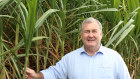 Bundaberg mayor Jack Dempsey was a surprise candidate in the race for Hinkler, held by Resources Minister Keith Pitt.
