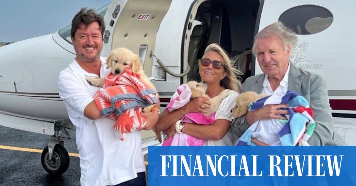 Will Vicars collects puppy... by private jet - Vimarsana News