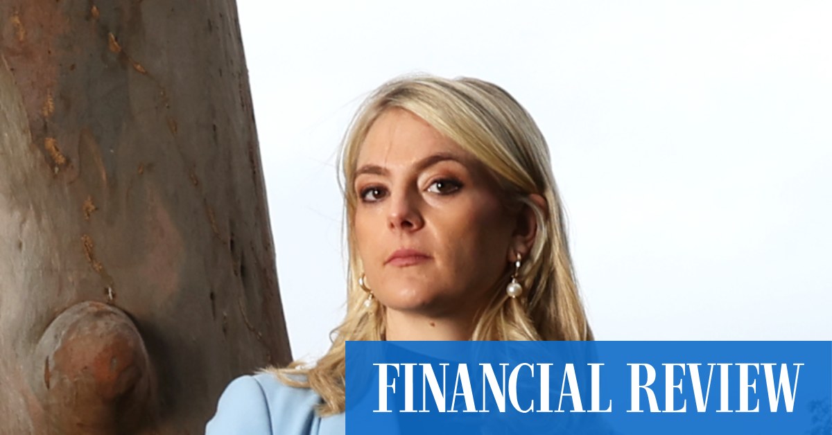 Woollahra ‘urban forest’ study could get in the way of housing plan