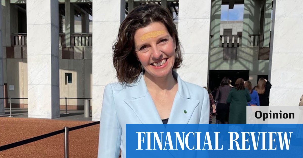 Allegra Spender's diary of her first days in parliament - Vimarsana News