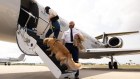 Bark Air is the latest offering from the company behind a subscription service for popular dog treats.