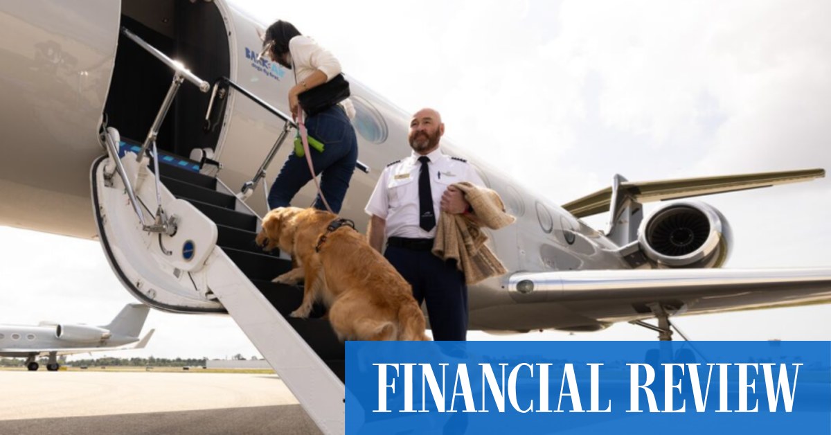 Bark Air is a new pet airline offering $US6000 flights for dogs
