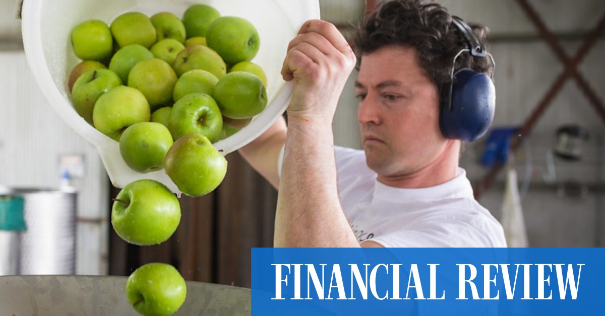 How a ploy to sell more prosecco led to a top global award – for cider - Vimarsana News