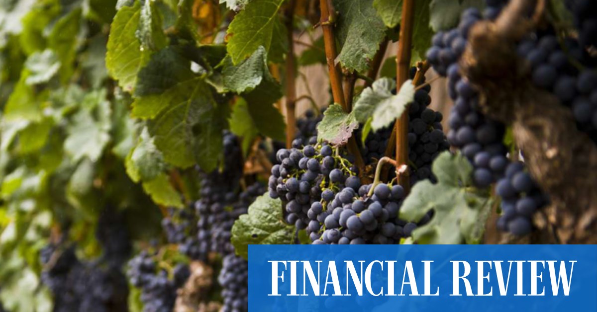 Treasury Wine Estates Limited (ASX TWE) Stock Price Quote & Overview