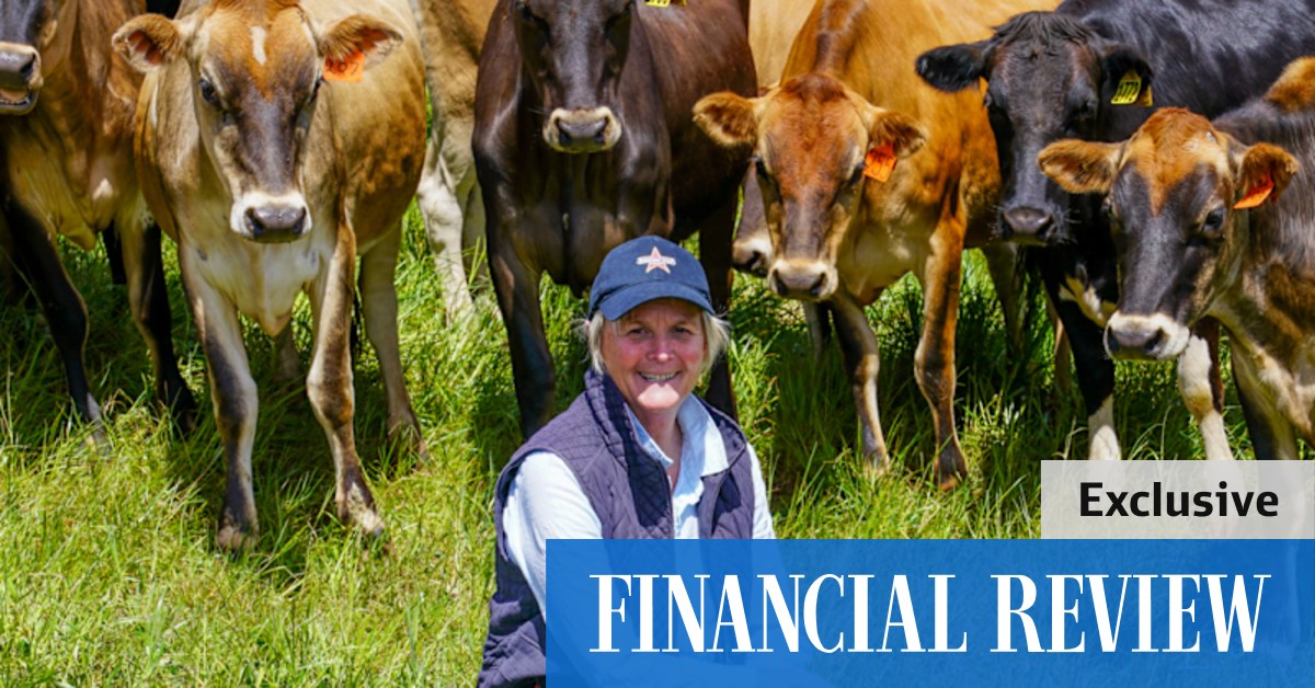 Dairy fund on track for 12pc return after buying Tassie farm - Vimarsana News