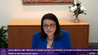 Jenny Mikakos gave evidence to the inquiry last week.