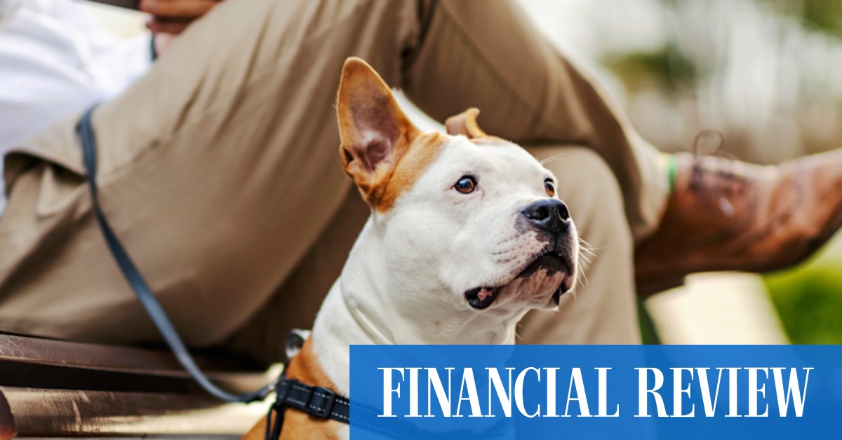 Doggone it - why your pet isn't tax deductible - Vimarsana News