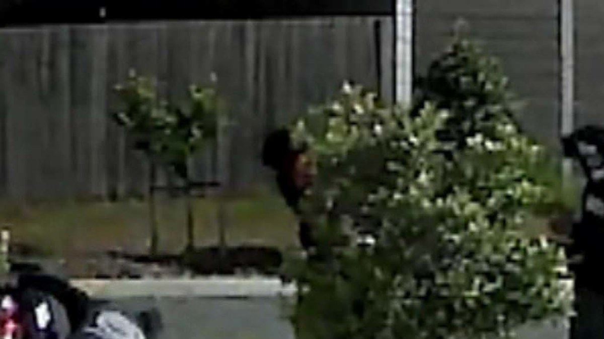 Teen accused of injuring two police officers with car