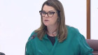 Sarah Hanson-Young says it is ‘extraordinary’ that the government’s Climate Action certification has been sold to companies despite concerns.