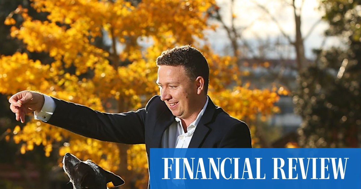 Pet Circle set for one of the year's biggest VC raises, $1b valuation - Vimarsana News