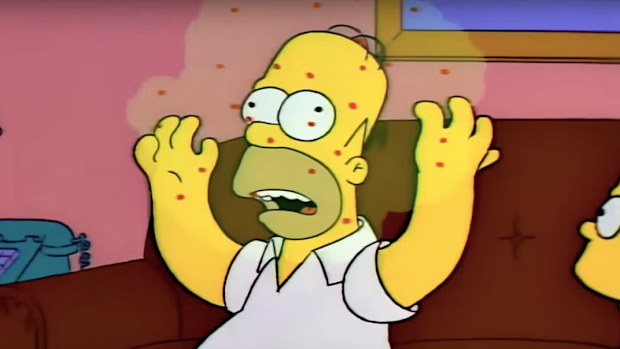 The Simpsons Homer