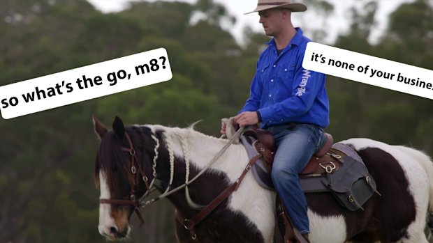 Ugh, anyone else hate when horses get nosy?