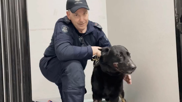 Police dog Rocco and his handler