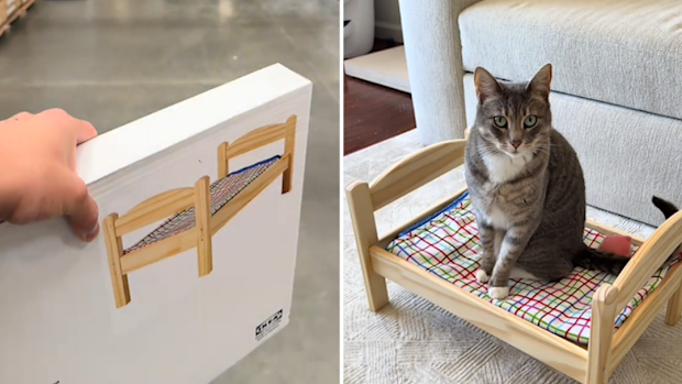 Cat loves Ikea doll bed Duktig