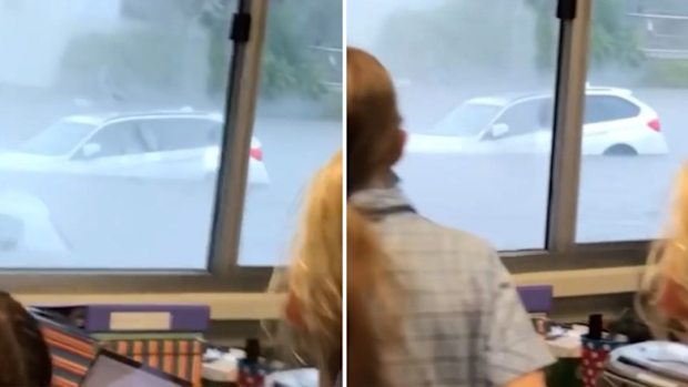 Manly flood vision 