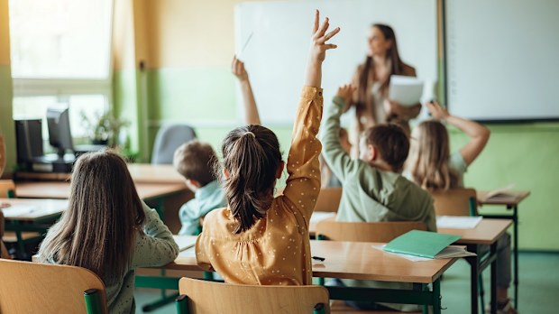 naplan 2023 questions quiz