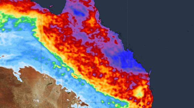 Rain is expected for much of the Queensland coast, including Brisbane and the Gold Coast.