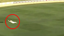 Campbell Kellaway takes an astonishing catch.