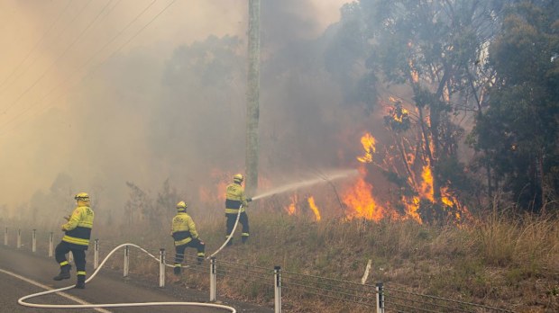 Redhead bushfire