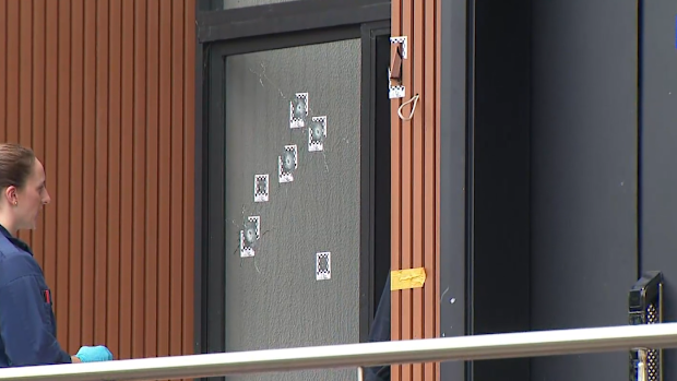 Casula shooting - home sprayed with bullets