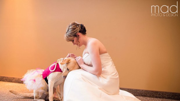 Bella, the service dog in a tutu, comforts her owner Valerie Parrot on her big day. (Maddie Peschong)