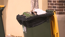 Household bins and public bins across Melbourne's north weren't emptied today, forcing residents to wait another week until they are collected.
