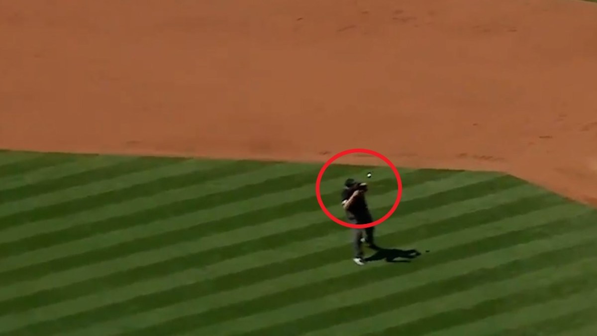 Video of Major League Baseball umpire Larry Vanover hit in head by