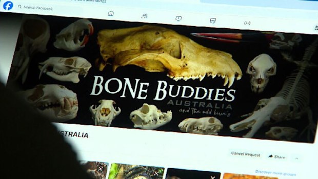 Police found the mother-of-five was a member of the "Bone Buddies Australia" Facebook group, commonly used to buy, swap and sell specimens online. 